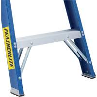 Industrial Duty Stepladders (6300 Series), 4', Fibreglass, 250 lbs. Capacity, Type 1 NTL Industrial