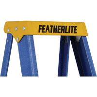 Industrial Duty Stepladders (6300 Series), 4', Fibreglass, 250 lbs. Capacity, Type 1 NTL Industrial