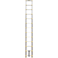 Telescopic Ladder, 3' - 12', Aluminum, 250 lbs. Capacity, Type 1 VC441 | NTL Industrial