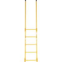 Walk-Through Style Dock Ladder VD450 | NTL Industrial