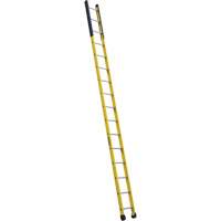 Single Manhole Ladder, 16', Fibreglass, 375 lbs., CSA Grade 1AA NTL Industrial
