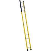 Single Manhole Ladder, 12', Fibreglass, 375 lbs., CSA Grade 1AA NTL Industrial