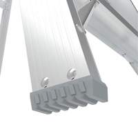 Step Ladder with Paint Tray, 10', Aluminum, 225 lbs. Capacity, Type 2 NTL Industrial