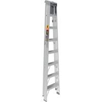 Step Ladder with Paint Tray, 8', Aluminum, 225 lbs. Capacity, Type 2 NTL Industrial