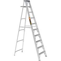 Step Ladder with Paint Tray, 10', Aluminum, 225 lbs. Capacity, Type 2 NTL Industrial
