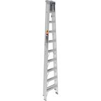 Step Ladder with Paint Tray, 10', Aluminum, 225 lbs. Capacity, Type 2 NTL Industrial