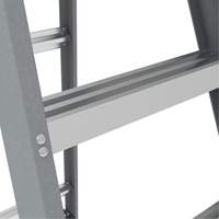 Step Ladder with Paint Tray, 6', Fibreglass, 225 lbs. Capacity, Type 2 NTL Industrial