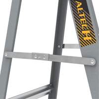 Step Ladder with Paint Tray, 6', Fibreglass, 225 lbs. Capacity, Type 2 NTL Industrial