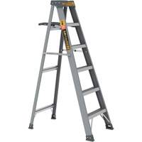 Step Ladder with Paint Tray, 6', Fibreglass, 225 lbs. Capacity, Type 2 NTL Industrial