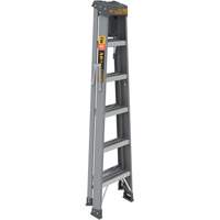 Step Ladder with Paint Tray, 6', Fibreglass, 225 lbs. Capacity, Type 2 NTL Industrial