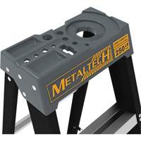 Step Ladder with Paint Tray, 10', Fibreglass, 250 lbs. Capacity, Type 1 NTL Industrial