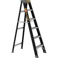 Step Ladder, 6', Fibreglass, 250 lbs. Capacity, Type 1 NTL Industrial