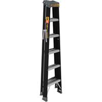 Step Ladder, 6', Fibreglass, 250 lbs. Capacity, Type 1 NTL Industrial