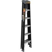 Step Ladder with Paint Tray, 6', Fibreglass, 250 lbs. Capacity, Type 1 NTL Industrial