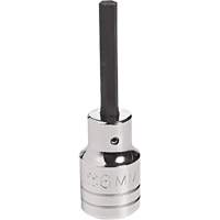 Embout &agrave; ins&eacute;rer, Hexagonale, 18 mm x 4" lo, Prise 1/2" NTL Industrial