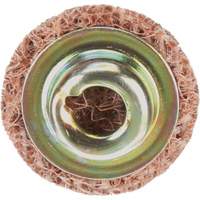 Standard Abrasives Quick-Change Surface Conditioning Disc, 3/4" Dia., Coarse Grit, Aluminum Oxide NTL Industrial