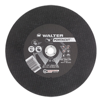 Portacut High Speed Cut-Off Wheel, 12" x 1/8", 3/4" Arbor, Type 1, Silicon Carbide, 6300 RPM NTL Industrial