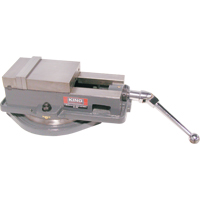 &eacute;taux &agrave; fraiseuse &agrave; base pivotante NTL Industrial