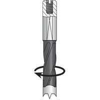 Dowel Drill, Carbide NTL Industrial