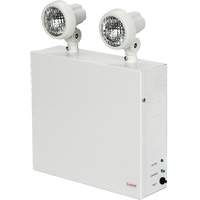 Nova Emergency Lighting Units, Steel, LED, 120 V - 347 V NTL Industrial