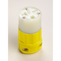 Connecteur de broches droites mis &agrave; la terre &agrave; deux bornes et trois fils, 5-20P, Nylon NTL Industrial