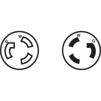 Prise mise &agrave; la terre verrouillable &agrave; deux bornes et trois fils, Nylon, 15 A, 250 V, L6-15P NTL Industrial