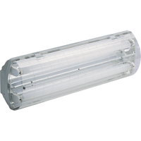Lampes Vapor-Tight série BS100 Illumina<sup>MD</sup>, Polycarbonate, 120 V XC441 | NTL Industrial