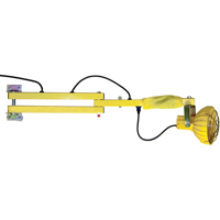 Dock Loading Lights with Flexible Arm, Incandescent Light, 60" Arm NTL Industrial