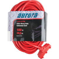 Cordon rallonge en vinyle, Ext&eacute;rieur, SJTW, AWG 12/3, 15 A, 3 prise(s), 100' NTL Industrial