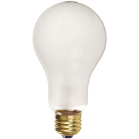 Economy Line Incandescent Lamps NTL Industrial