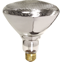Economy Line Incandescent Lamps NTL Industrial