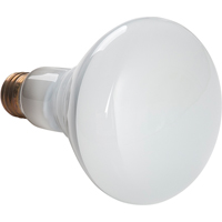 Economy Line Incandescent Lamps NTL Industrial
