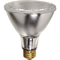 Gammes de lampes &eacute;conomiques NTL Industrial