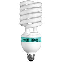Hang-A-Light<sup>®</sup> Work Light Bulb, 105 W XC755 | NTL Industrial