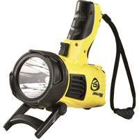 Projecteurs style pistolet Waypoint, DEL, 550 Lumens, Piles C NTL Industrial