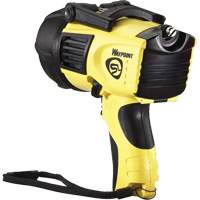 Projecteurs style pistolet Waypoint, DEL, 550 Lumens, Piles C NTL Industrial