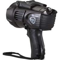 Projecteurs style pistolet Waypoint, DEL, 550 Lumens, Piles C NTL Industrial