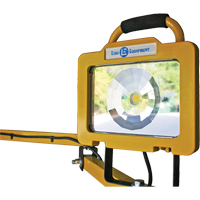 Heavy-Duty Dock Light, 40" Arm, 38 W, LED Lamp, Metal NTL Industrial