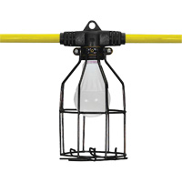 Projecteur d'illumination, DEL, 20 W, 1440 lumens, Boîtier en Aluminium NTL Industrial