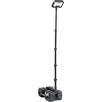 9490 Remote Area Lighting Systems, LED, 53.3 W, 6000 Lumens, Plastic Housing NTL Industrial