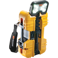 9490 Remote Area Lighting Systems, LED, 53.3 W, 6000 Lumens, Plastic Housing NTL Industrial