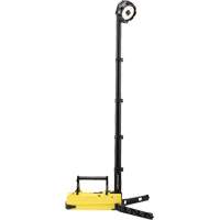 Portable Rechargeable Scene Lights, LED, 36 W, 5300 Lumens, Plastic Housing NTL Industrial