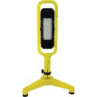 Lampe Beacon Infinity Light avec support magn&eacute;tique, DEL, 40 W, 5400 lumens, Boîtier en Plastique/Aluminium NTL Industrial