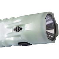 Flashlight, LED, 378 Lumens, AA Batteries NTL Industrial