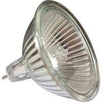 Ampoule de rechange MR16 XI504 | NTL Industrial