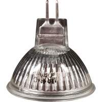 Ampoule de rechange MR16 XI504 | NTL Industrial
