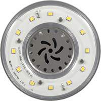 Ultra LED™ High Lumen Lamp, HID, 36 W, 4800 Lumens, Mogul Base XI556 | NTL Industrial