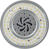 Lampe haute luminosité Ultra LED<sup>MC</sup>, DHI, 80 W, 10800 lumens, base Mogul XI562 | NTL Industrial
