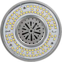 Lampe haute luminosité Ultra LED<sup>MC</sup>, DHI, 100 W, 13500 lumens, base Mogul XI565 | NTL Industrial