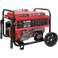 Gasoline Generator with Electric Start, 10000 W Surge, 7500 W Rated, 120 V/240 V, 25 L Tank XI762 | NTL Industrial